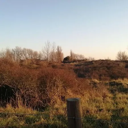 Lovely N° 9 Op Ieder Moment Prachtig Zeezicht & Zwembad Διαμέρισμα Middelkerke